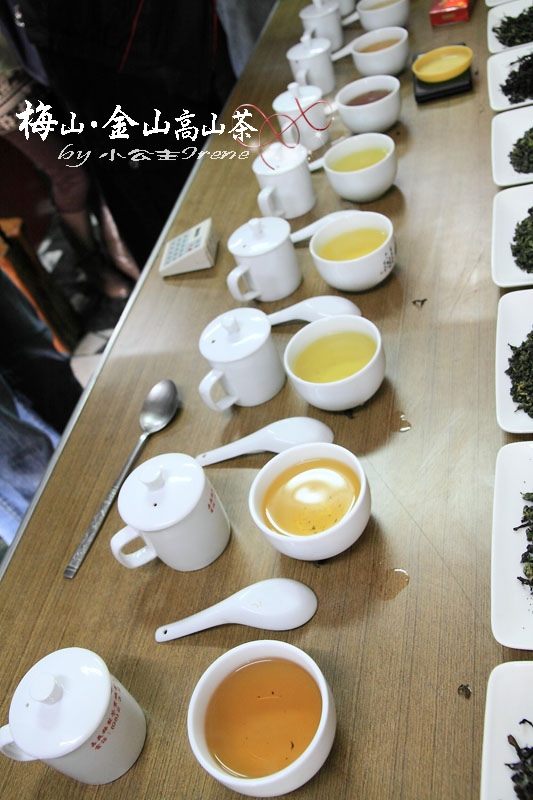 【嘉義梅山】茶香滿屋.金山高山茶