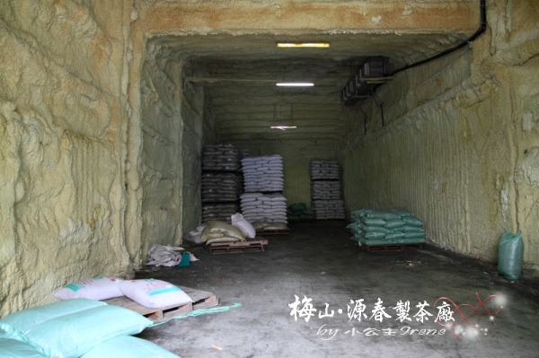 【嘉義梅山】苦茶油之旅.源春製茶廠