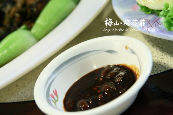 【嘉義梅山】梅香饗宴.梅花莊