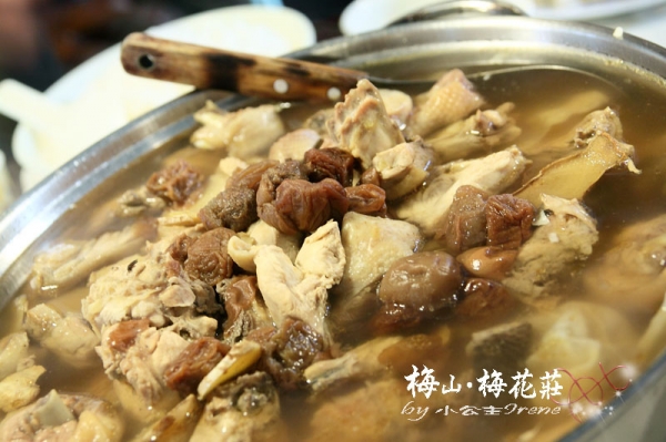 【嘉義梅山】梅香饗宴.梅花莊