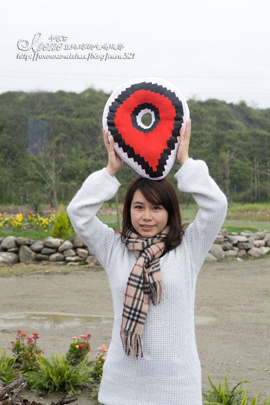 【南投】2012/12/16~2013/01/20‧南投花卉嘉年華