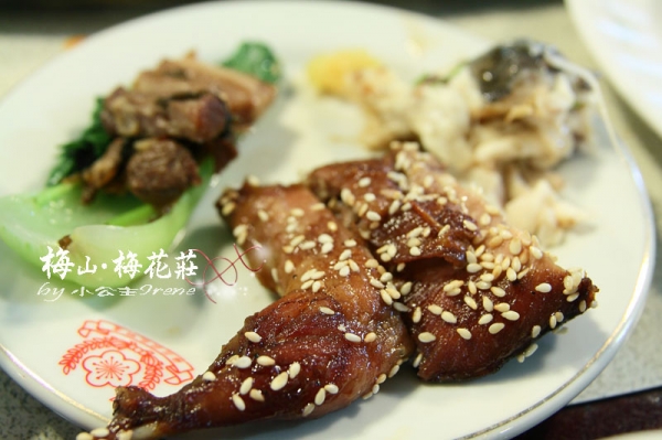 【嘉義梅山】梅香饗宴.梅花莊