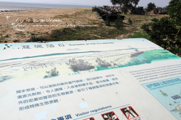 【金門】賞鳥的好地點.慈湖與慈堤
