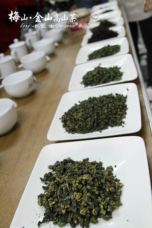 【嘉義梅山】茶香滿屋.金山高山茶