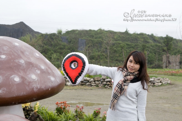 【南投】2012/12/16~2013/01/20‧南投花卉嘉年華