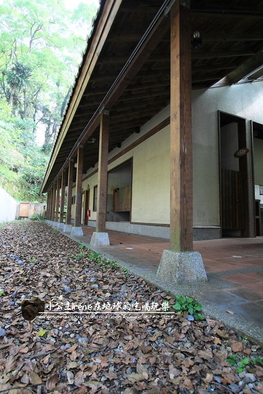 【南投鹿谷鄉】漫遊 森林 小學.內湖國小