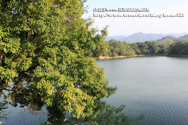 【苗栗】獨立的湖中島.日新島