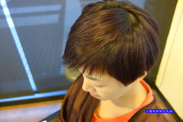 DSC09382_副本.jpg