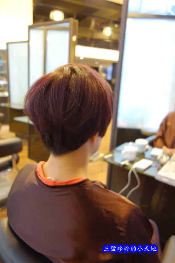 DSC09365_副本.jpg