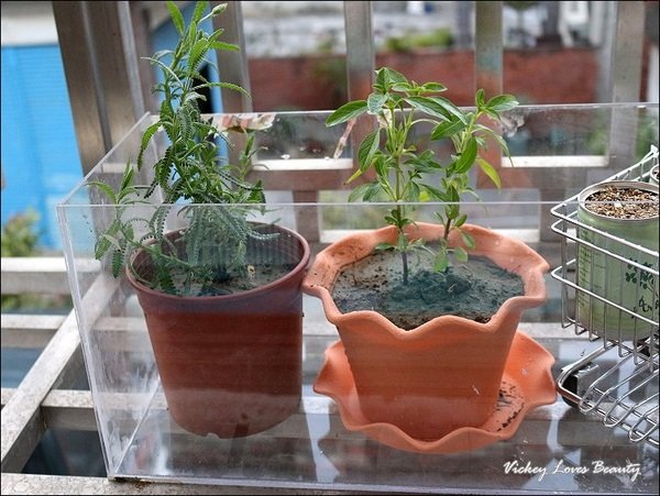 陽台大變身～【特力屋HOLA】橘色蓮花盆＋可愛的購物車造型花器 - Vickey Loves Beauty部落格 - FashionGuide ...