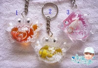 引用~【玲麻咪辦活動】//預告//踩踩樂~踩中就送唷!