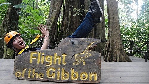 (旅遊~泰國 清邁) Flight of the Gibbon ~ 體驗長臂猿在森林滑翔快感
