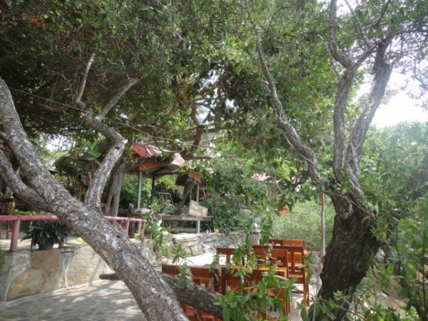 (美食 泰國 沙美島) Blue Sky Restaurant & Bar ~ 飽覽Vongduan海灘美景餐廳