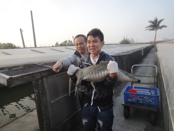 (360行向前衝) 驚悚美食Part.2 鱷魚VS神仙爐 (週六21點請鎖定非凡電視台) 2013/3/30首播