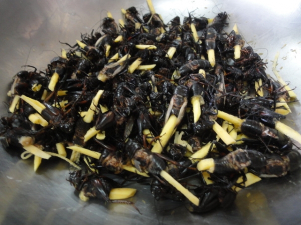 (360行向前衝) 黑色驚悚美食PK賽 (週六21點請鎖定非凡電視台) 2013/3/23首播