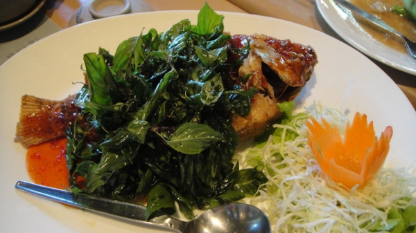 (美食 泰國 清邁) Suan Pak ~ 距離清邁機場最近最美味的餐廳