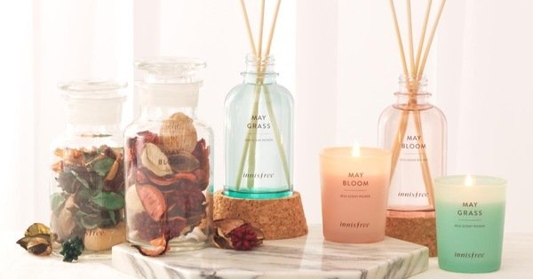 innisfree限量擴香乾燥花、蠟燭與擴香燈一次擁有!讓你置身在濟州島的春天花園