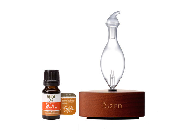 iGzen愛居人抗PM2.5,輕鬆吸好氣!