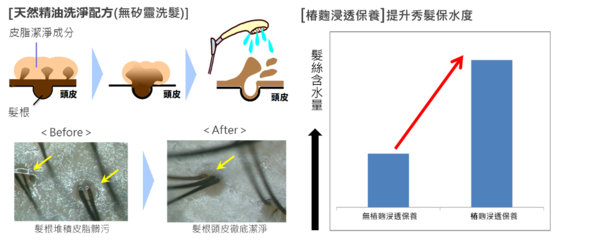 對抗夏日的最強秘密武器 TSUBAKI思波綺 夏季限定 極上精油涼感洗潤系列全新沁涼上市
