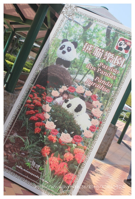 【澳門親子遊】威丰味.石排灣郊野公園熊貓館