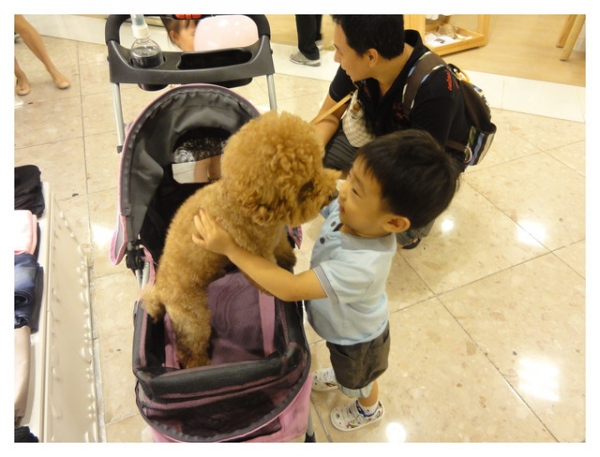 【活動】ELLE Kids 2012秋冬新品Fashion Show