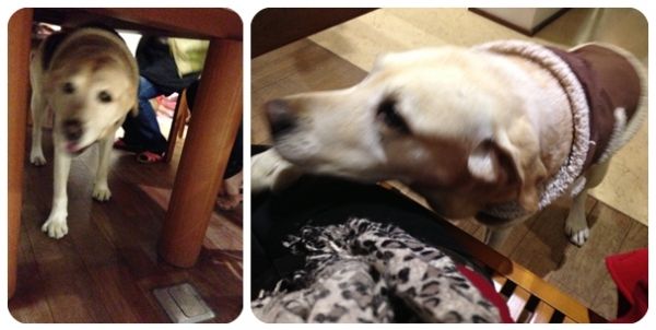 【跨年】2013 Happy New Year!!!