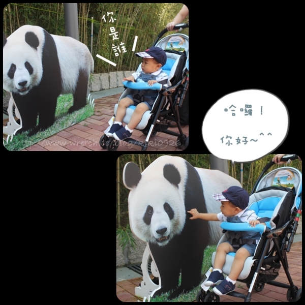 【澳門親子遊】威丰味.石排灣郊野公園熊貓館