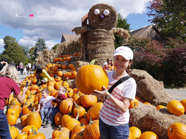 【美國生活365-75】採蘋果&玉米田迷宮 @Brookdale Fruit farm
