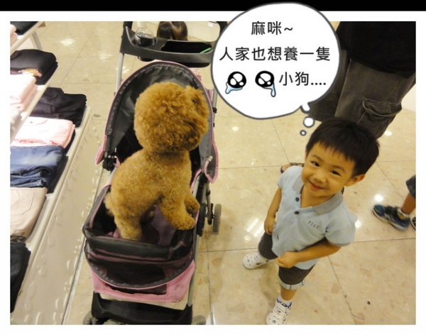 【活動】ELLE Kids 2012秋冬新品Fashion Show