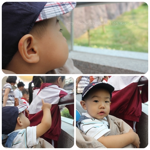 【澳門親子遊】威丰味.石排灣郊野公園熊貓館