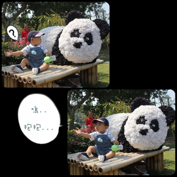 【澳門親子遊】威丰味.石排灣郊野公園熊貓館