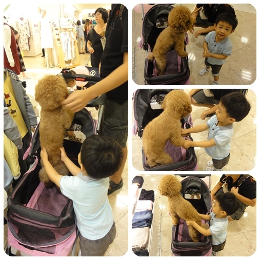 【活動】ELLE Kids 2012秋冬新品Fashion Show