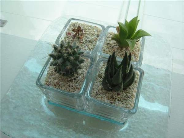 Thanks for your Wedding gift ~"^_____^"~