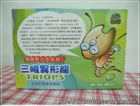 2億年前恐龍時代的活化石-三眼異形龍飼養日記