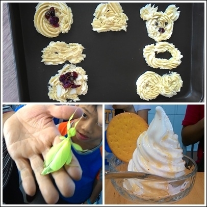橫山頭假日二日遊~Day2品嚐可口蜂蜜X手作香草餅乾X甲蟲生態導覽