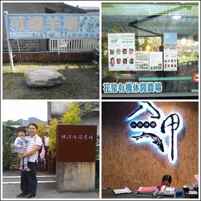 橫山頭假日二日遊~Day1餵小羊X抓魚蝦X海水蝦生態瓶DIYX八甲手作料理