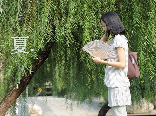 好評加碼>>汗水881夏日限定。和風扇子套組