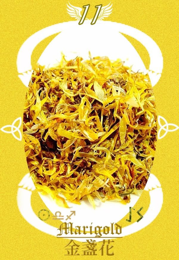 【自我探索單元(10)】金盞花自我占卜,幫助你開啟智慧與高等頻率