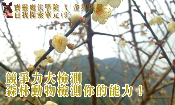 【自我探索單元(9)】競爭力大檢測,森林動物檢測你的能力!
