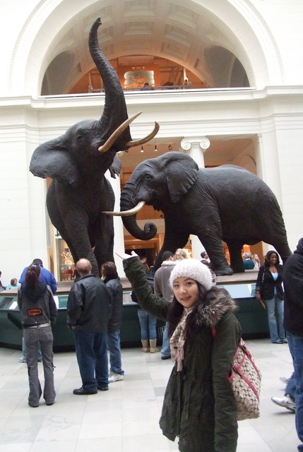 20100317~21Chicago之旅七(世界最大的恐龍化石在field museum)