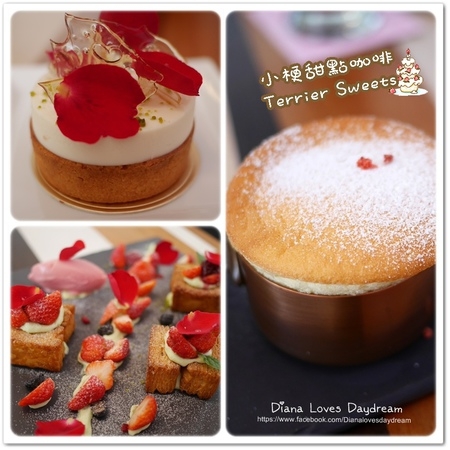 食記 ▍台中 要預約的夢幻甜點 ♥ 小梗甜點咖啡 Terrier Sweets ♥