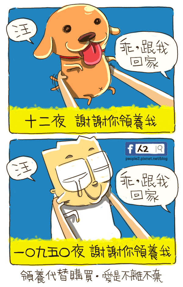 電影:十二夜(Twelve Nights),領養代替購買,愛是不離不棄