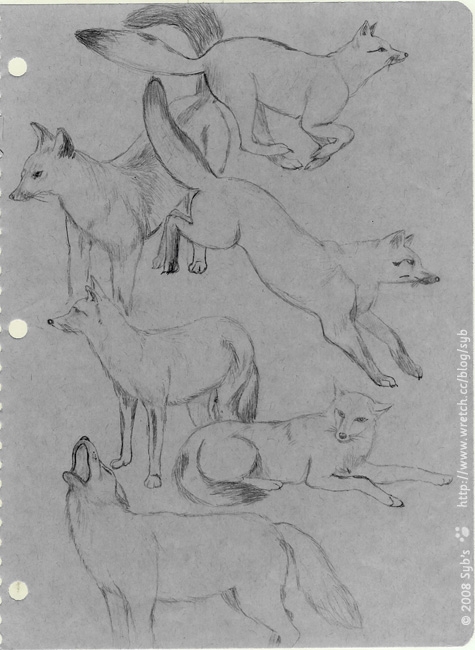 舊圖三張 - 遊隼、雪豹與狐狸