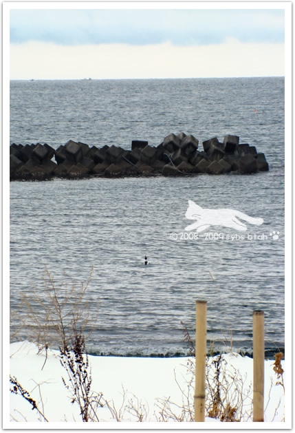 北海道背包日誌 … 到函館的途中
