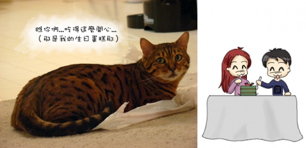 五毛三歲了!