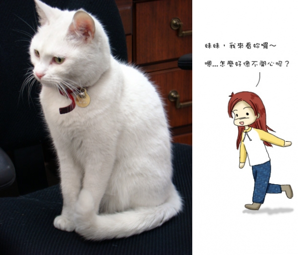 苦情妹妹