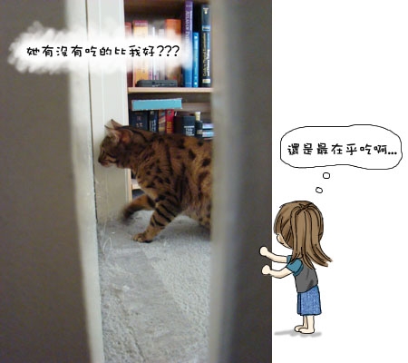 貓仔隊 現場直擊 搶先看