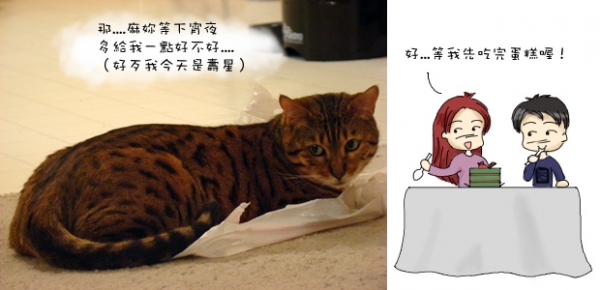 五毛三歲了!