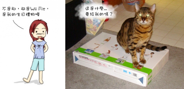 生日禮物