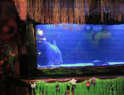 <LA>像走進奇幻水族館的Bahooka家庭餐廳